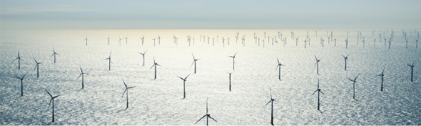 A picture 
            containing an ocean windfarm