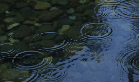 A picture 
                           containing raindrops landing on water