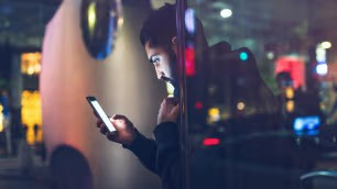 Picture containing.....